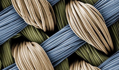 Учёные создали беспроводные чувствительные воло...